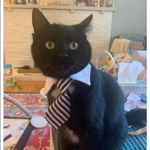 Meet your Posher, Bay